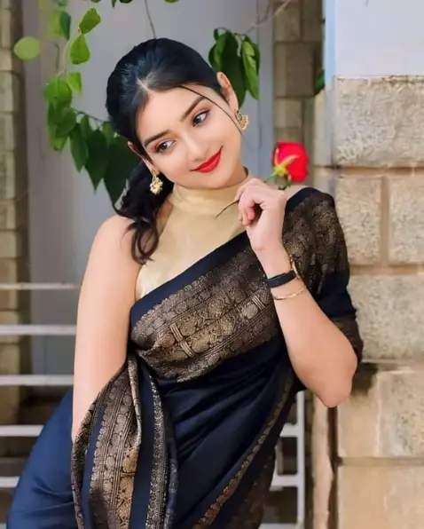 VIP Call Girl Noida